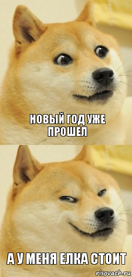 новый год уже прошел а у меня елка стоит, Комикс   DOGE довольный