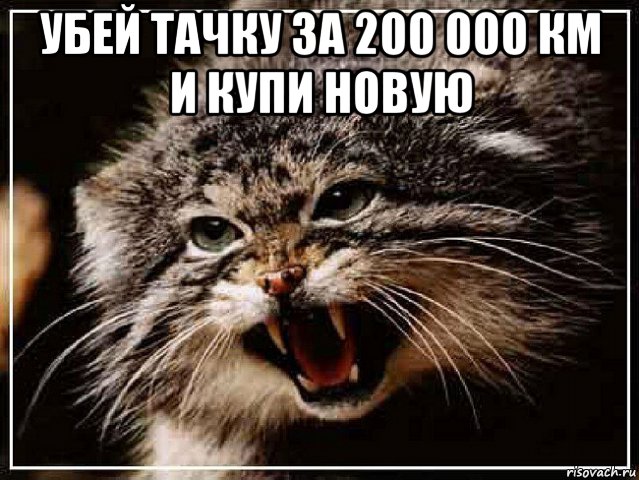 убей тачку за 200 000 км и купи новую , Мем манул
