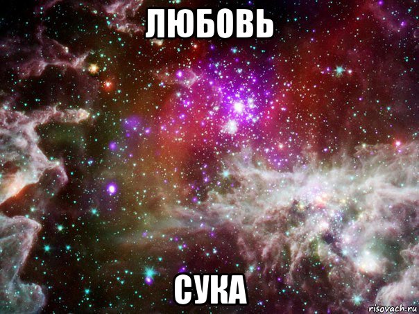 любовь сука