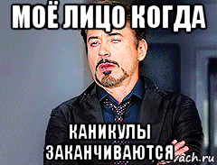 моё лицо когда каникулы заканчиваются