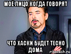 моё лицо когда говорят что хаски будет тесно дома