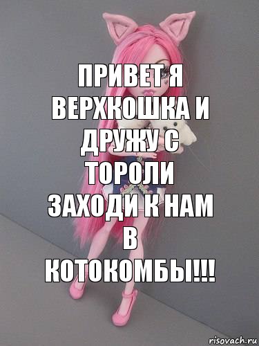 ПРИВЕТ Я ВЕРХКОШКА И ДРУЖУ С ТОРОЛИ ЗАХОДИ К НАМ В КОТОКОМБЫ!!!