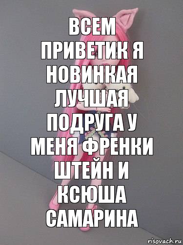 Всем приветик я новинкая лучшая подруга у меня Френки Штейн и Ксюша Самарина