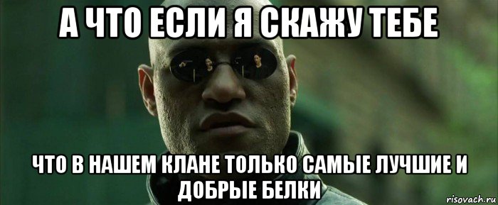 а что если я скажу тебе что в нашем клане только самые лучшие и добрые белки, Мем  морфеус