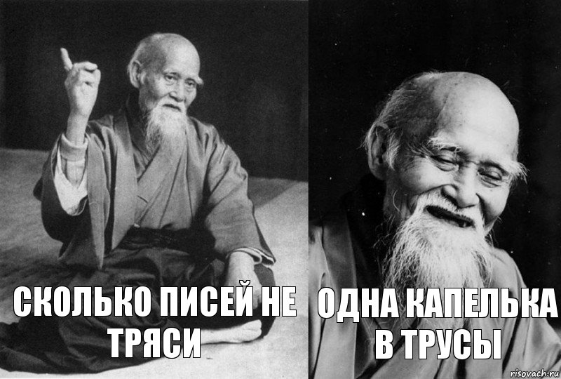 Сколько писей не тряси Одна капелька в трусы, Комикс Мудрец-монах (2 зоны)