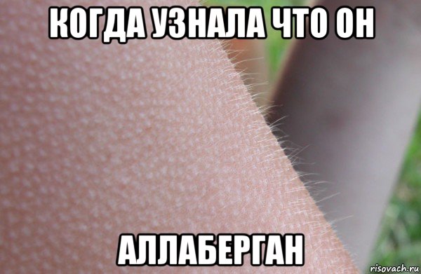 когда узнала что он аллаберган