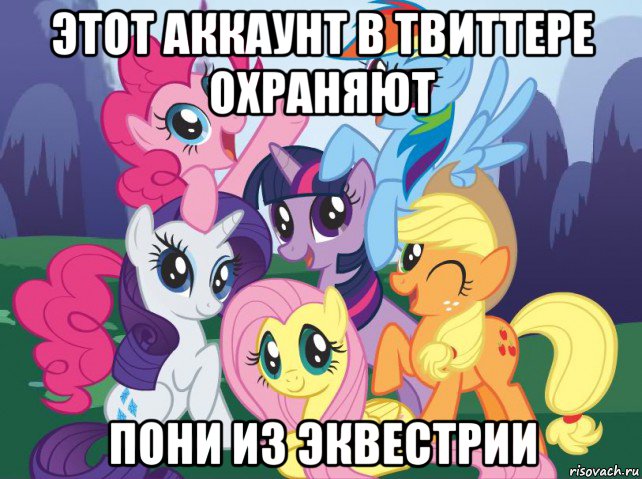 этот аккаунт в твиттере охраняют пони из эквестрии, Мем My little pony