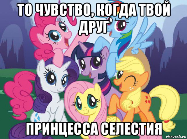 то чувство, когда твой друг принцесса селестия, Мем My little pony