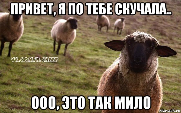 привет, я по тебе скучала.. ооо, это так мило