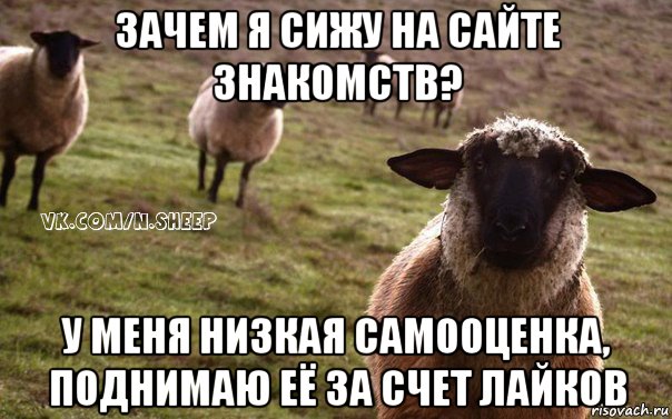 зачем я сижу на сайте знакомств? у меня низкая самооценка, поднимаю её за счет лайков