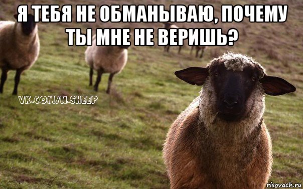 я тебя не обманываю, почему ты мне не веришь? , Мем  Наивная Овца