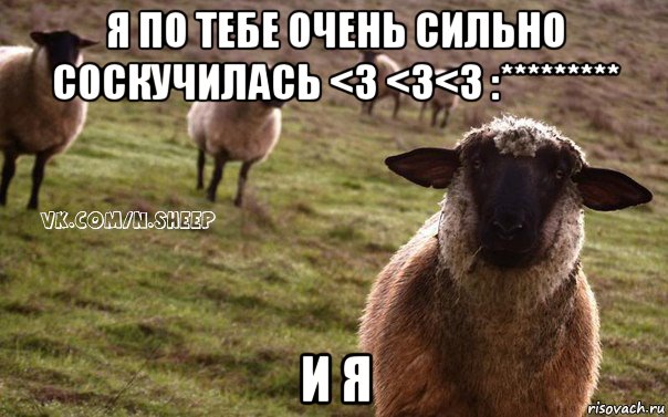 я по тебе очень сильно соскучилась <3 <3<3 :********* и я, Мем  Наивная Овца