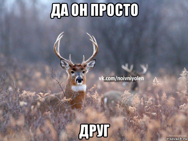 да он просто друг