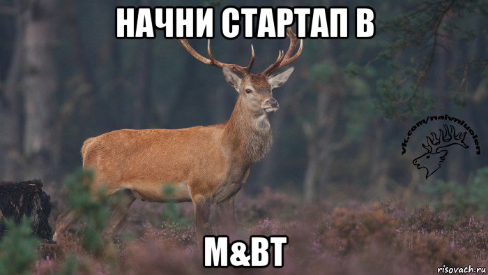 начни стартап в m&bt, Мем Наивный олень v3