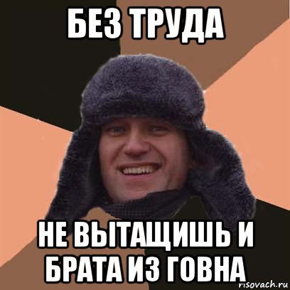 без труда не вытащишь и брата из говна, Мем навальный