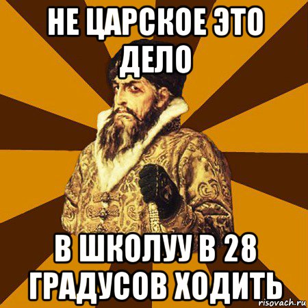 не царское это дело в школуу в 28 градусов ходить, Мем Не царское это дело