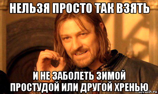 нельзя просто так взять и не заболеть зимой простудой или другой хренью, Мем Нельзя просто так взять и (Боромир мем)