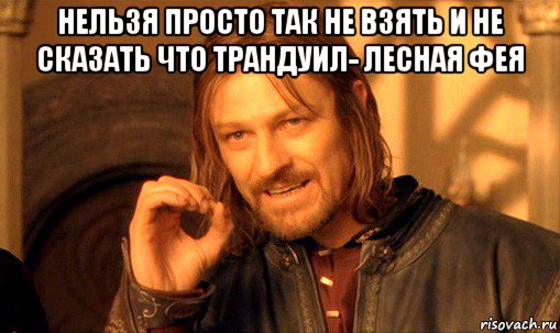 нельзя просто так не взять и не сказать что трандуил- лесная фея , Мем Нельзя просто так взять и (Боромир мем)