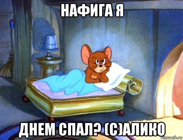 нафига я днем спал? (с)алико
