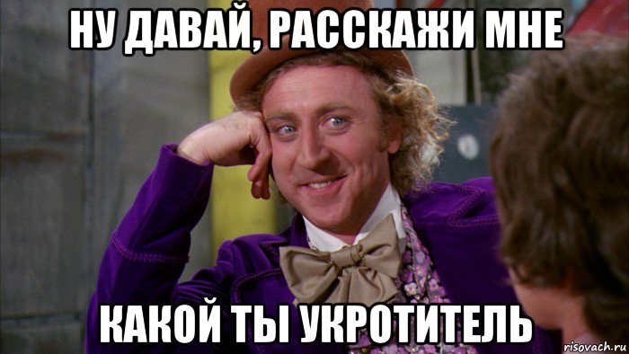 ну давай, расскажи мне какой ты укротитель, Мем Ну давай расскажи (Вилли Вонка)