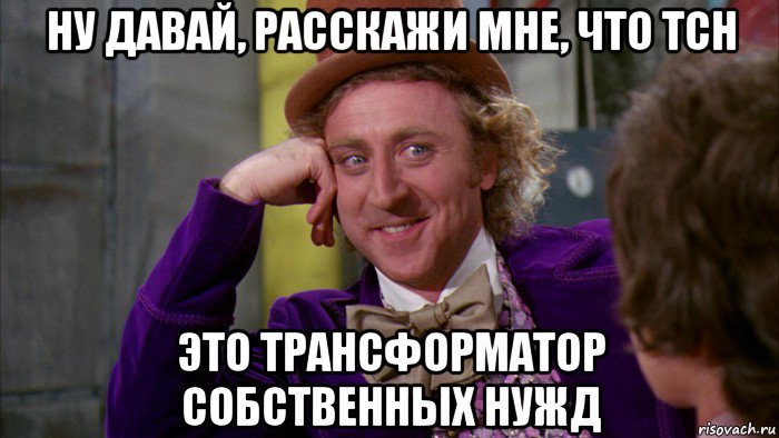 ну давай, расскажи мне, что тсн это трансформатор собственных нужд, Мем Ну давай расскажи (Вилли Вонка)