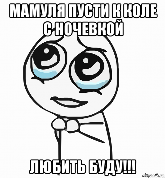 мамуля пусти к коле с ночевкой любить буду!!!, Мем  ну пожалуйста (please)