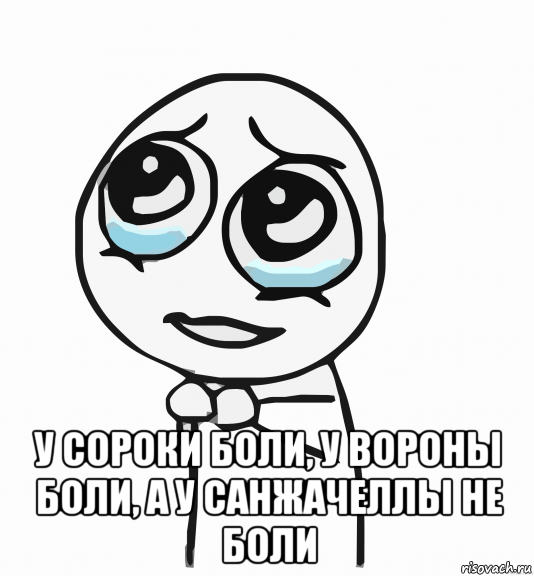  у сороки боли, у вороны боли, а у санжачеллы не боли, Мем  ну пожалуйста (please)