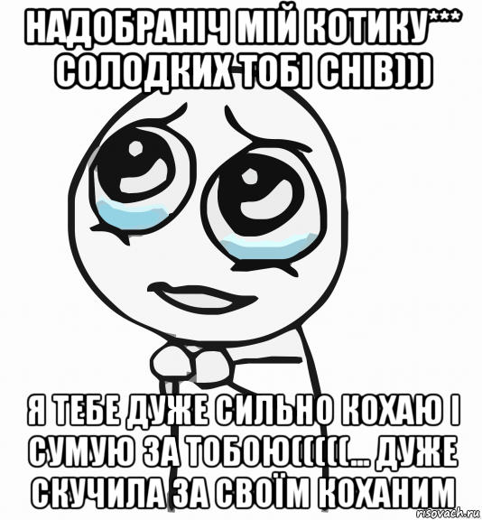 надобраніч мій котику*** солодких тобі снів))) я тебе дуже сильно кохаю і сумую за тобою(((((... дуже скучила за своїм коханим, Мем  ну пожалуйста (please)