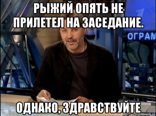 рыжий опять не прилетел на заседание. однако, здравствуйте, Мем Однако Здравствуйте