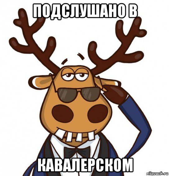 подслушано в кавалерском
