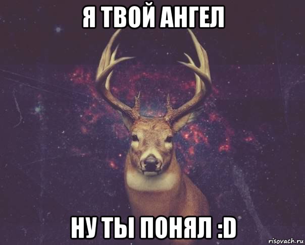 я твой ангел ну ты понял :d, Мем  олень наивный