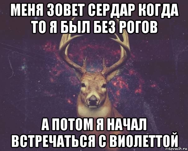 меня зовет сердар когда то я был без рогов а потом я начал встречаться с виолеттой