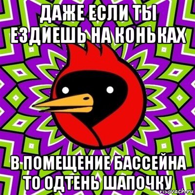 даже если ты ездиешь на коньках в помещение бассейна то одтень шапочку, Мем Омская птица