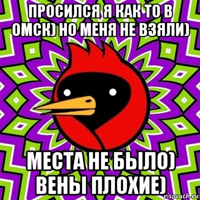 просился я как то в омск) но меня не взяли) места не было) вены плохие), Мем Омская птица