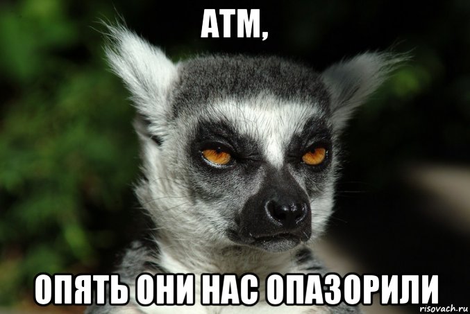 атм, опять они нас опазорили
