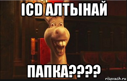 icd алтынай папка????, Мем Осел из Шрека