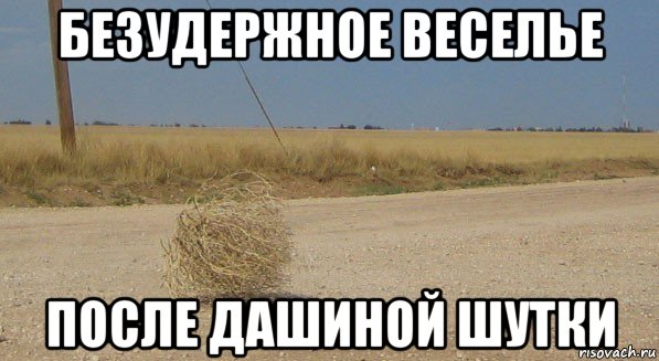 безудержное веселье после дашиной шутки, Мем перекати-поле одиночество