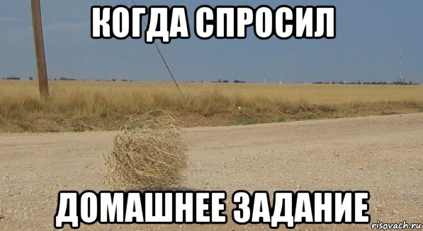 когда спросил домашнее задание, Мем перекати-поле одиночество