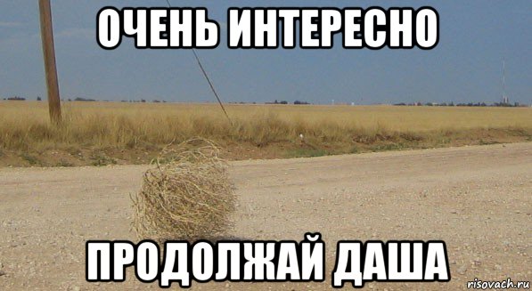 очень интересно продолжай даша, Мем перекати-поле одиночество