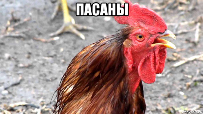 пасаны 