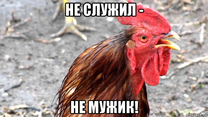 не служил - не мужик!