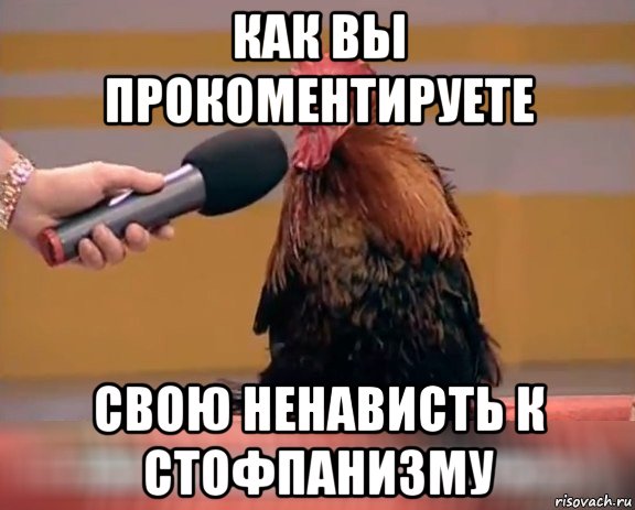 как вы прокоментируете свою ненависть к стофпанизму