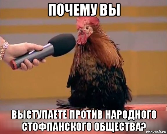 почему вы выступаете против народного стофпанского общества?