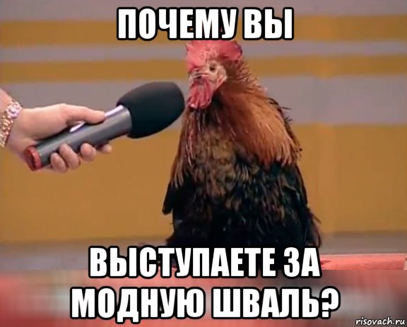 почему вы выступаете за модную шваль?