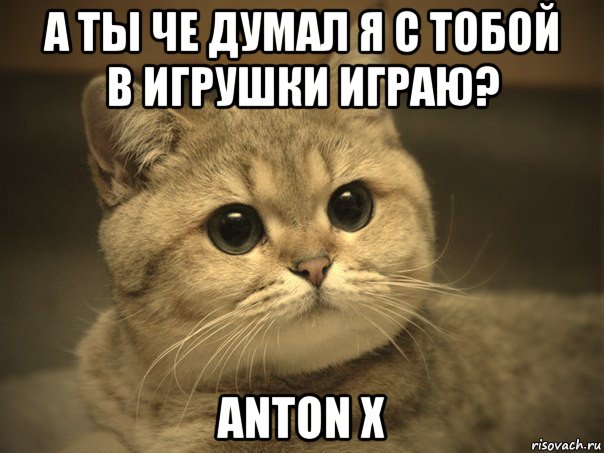 а ты че думал я с тобой в игрушки играю? anton x, Мем Пидрила ебаная котик