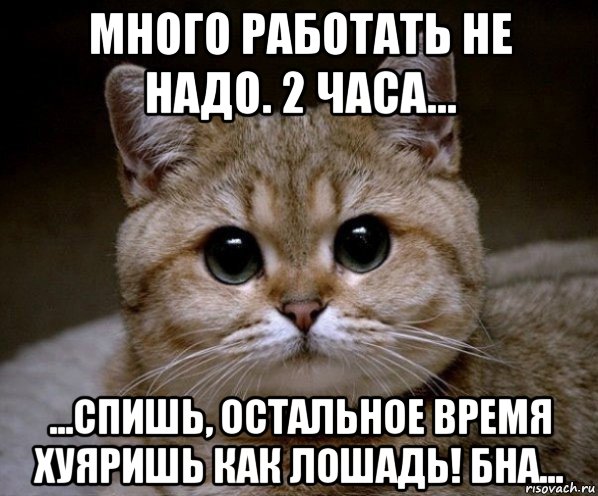 много работать не надо. 2 часа... ...спишь, остальное время хуяришь как лошадь! бна..., Мем Пидрила Ебаная