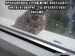просыпаюсь утром,мама показывает фотку и говорит:"ты проспал своё письмо" 