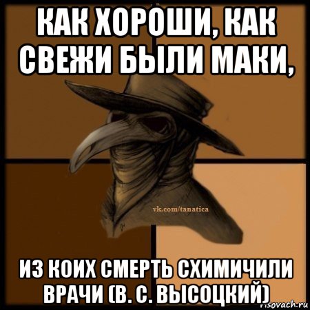 как хороши, как свежи были маки, из коих смерть схимичили врачи (в. с. высоцкий), Мем Plague doctor