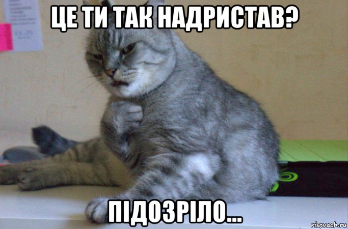 це ти так надристав? підозріло..., Мем подозрительно