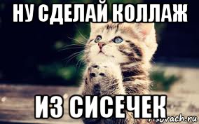 ну сделай коллаж из сисечек
